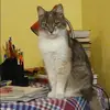 Отзыв от Серафима Зорина